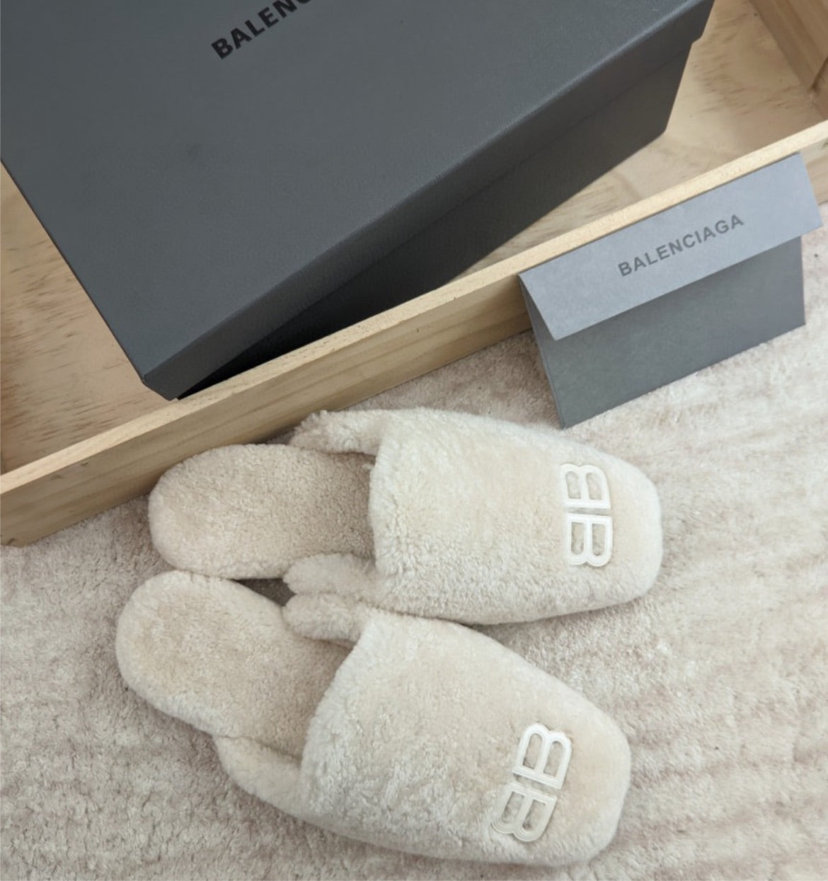 Comfy Balenciaga house shoe